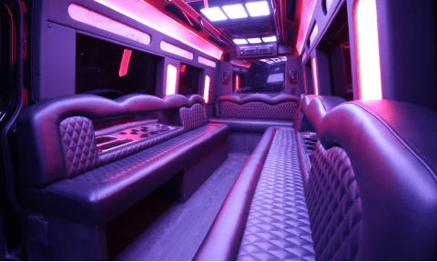 Fishers 14 Passenger Sprinter Bus Interior